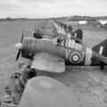 Buffalo Mk.I из состава 453 эскадрильи Австралийских ВВС, Сингапур, 1941 год.