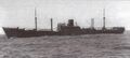Kormoran