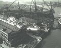 Миниатюра для версии от 17:13, 20 октября 2026