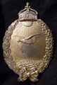 Знак пилота Военно-Морского Флота за полеты над морем. Аверс.