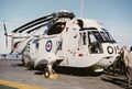 Sikorsky CH-124 Sea King, собранный в Канаде Sikorsky SH-3 Sea King, со сложенными лопастями