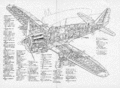 Компоновка двухместного истребителя Fairey Firefly
