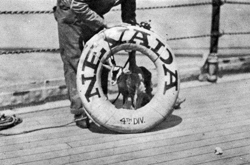 Файл:Nevada 15.jpg