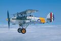 Hawker Nimrod Mk.I S1581