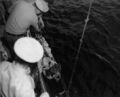 Раненого командира U-505 Харальда Ланге поднимают на борт авианосца USS Enterprise (CVE-60)