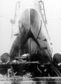 Винторулевая группа крейсера USS Trenton, 1937-38 гг.