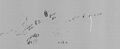 Схема торпедной атаки 22 сентября 1943 года (USS Harder Report of Second War Patrol)