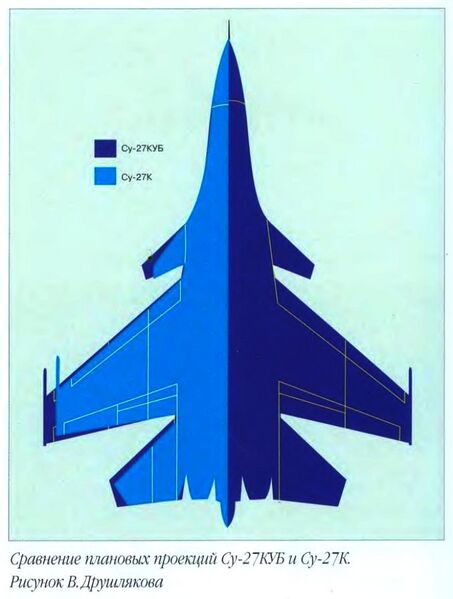 Файл:Plane Su27KUB wing.jpg
