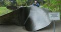 Гребной винт крейсера «Ворошилов»