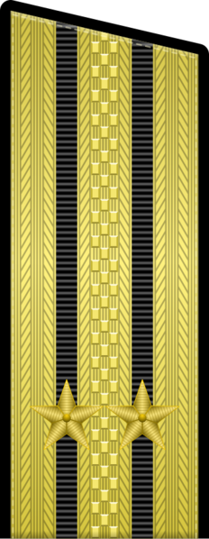 Файл:RAF N F4Com since 2010par.svg (1).webp