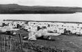 Brewster F2A Buffalo закупленные ВВС Бельгии на аэродроме острова Мартиника.