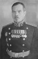 Вице-адмирал Ралль Юрий Федорович.