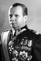 Маршал Польши Роль Жимерский