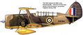 Cleveland Mk.I - Curtiss 77 Королевских ВВС