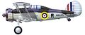 Вариант окраски Sea Gladiator Mk.I (N5519) 802 FAA sq. HMS Glorious.
