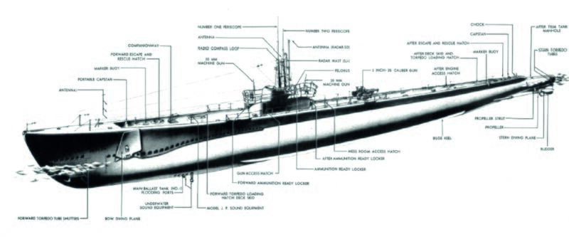 Файл:Snook SS-279 (21).jpg