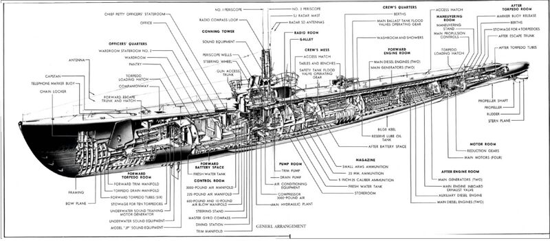 Файл:Snook SS-279 (22).jpg
