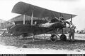 Sopwith Pup в 1917 году