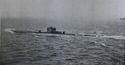 В море.