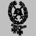 Знак ранения