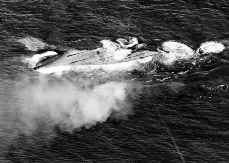 Файл:USS Nevada 44.jpg