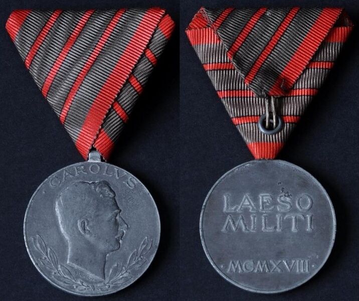 Файл:Verwundetenmedaille.jpg