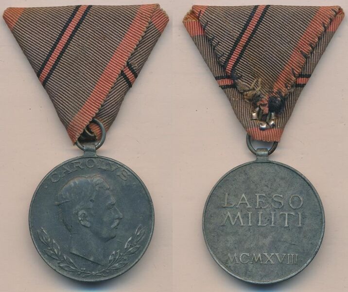 Файл:Verwundetenmedaille 1.jpg