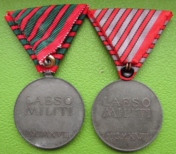 Файл:Verwundetenmedaille 11.jpg