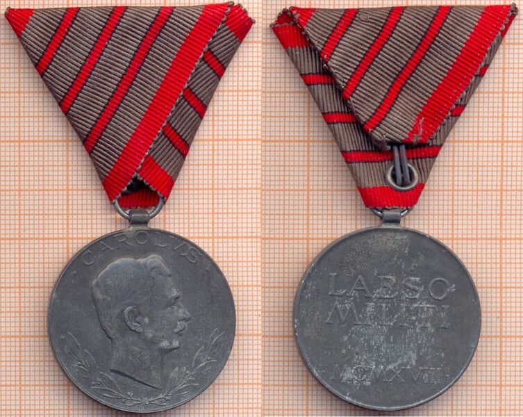 Файл:Verwundetenmedaille 3.jpg