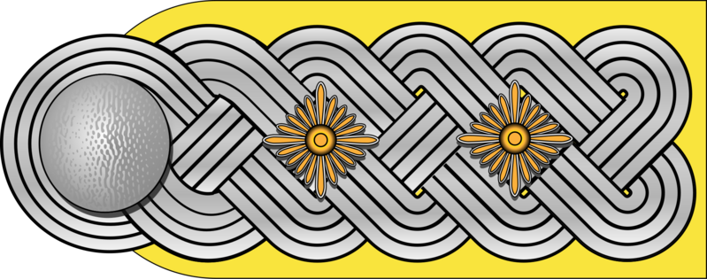 Файл:WMacht Lw OF5 Oberst h 1945.png